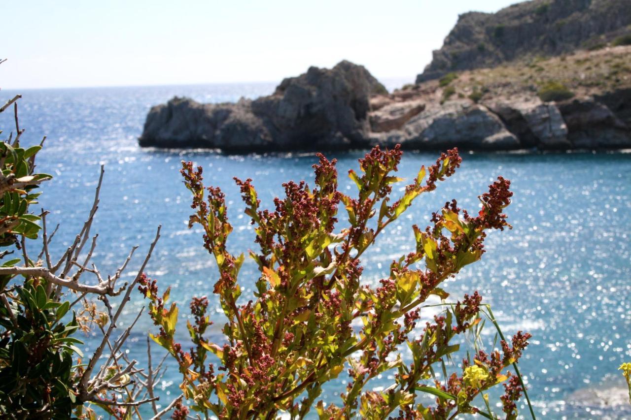Agios Pavlos Hotel المظهر الخارجي الصورة
